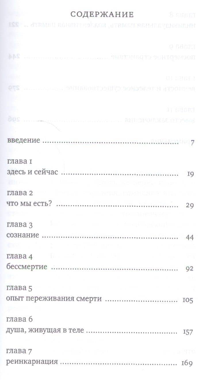 Жизнь души. Еврейское учение о том, что нас ждет после смерти — Дов-Бер Пинсон (2)