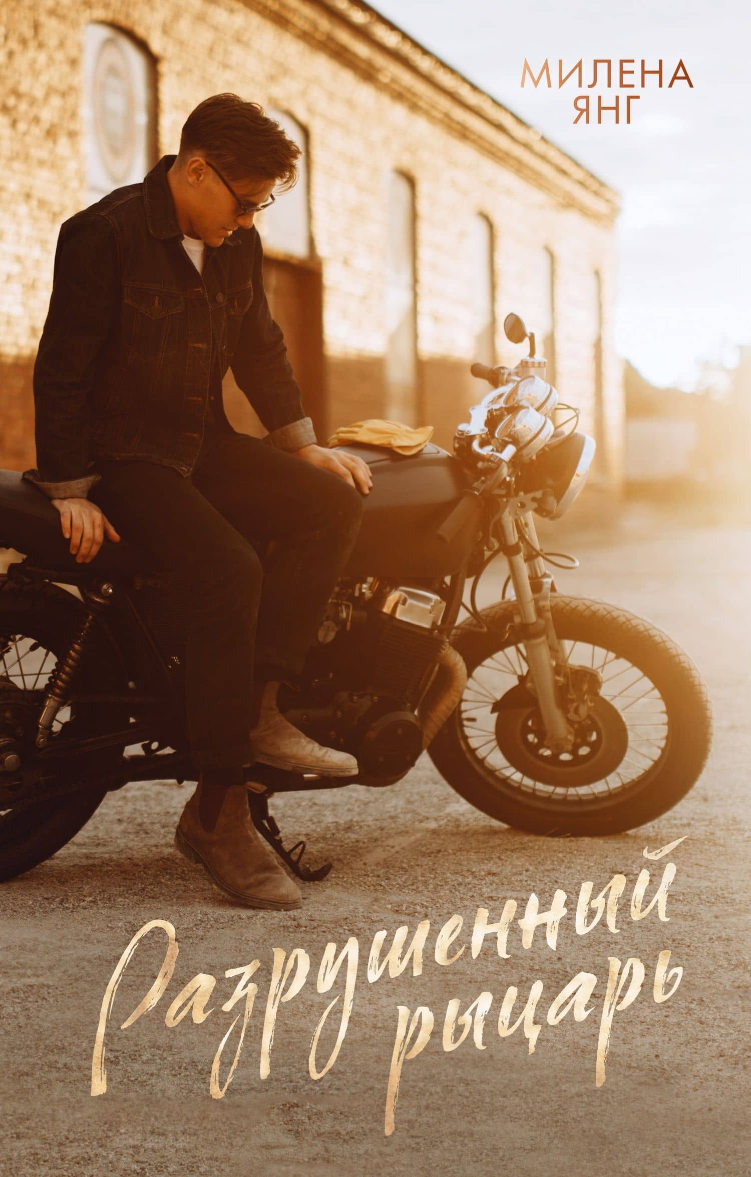 Разрушенный рыцарь — Милена Янг