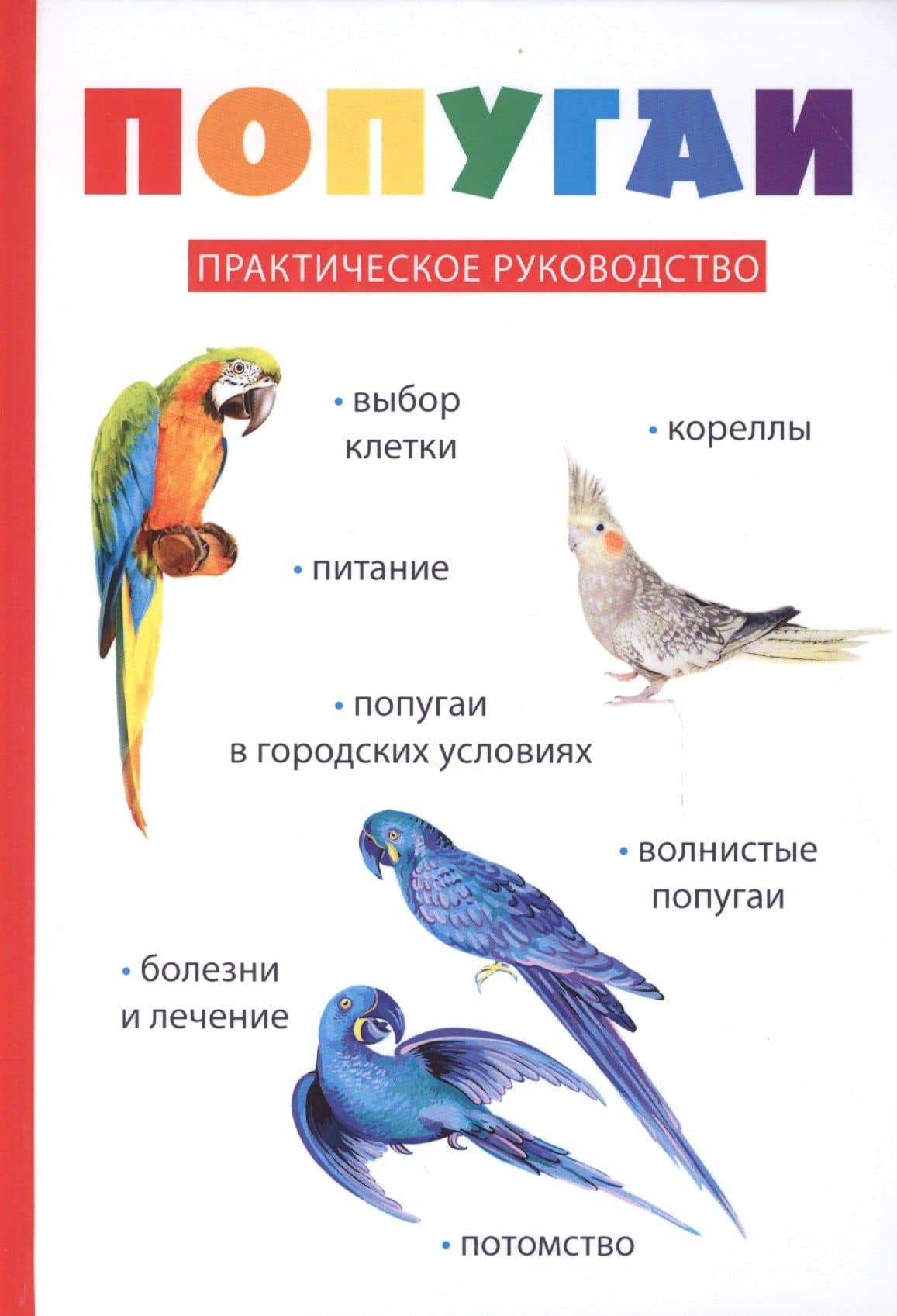 Попугаи.
