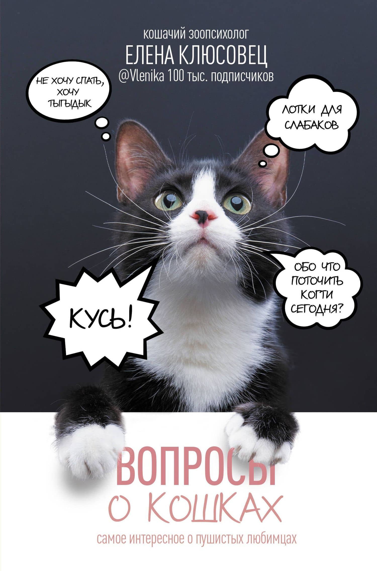 Вопросы о кошках. Самое интересное о пушистых любимцах — Клюсовец Е.В.