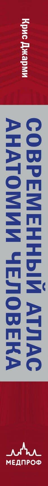 Современный атлас анатомии человека. Карманное пособие по строению костей, мышц, миофасциальных цепей и принципам движения тела — Джарми Крис (3)