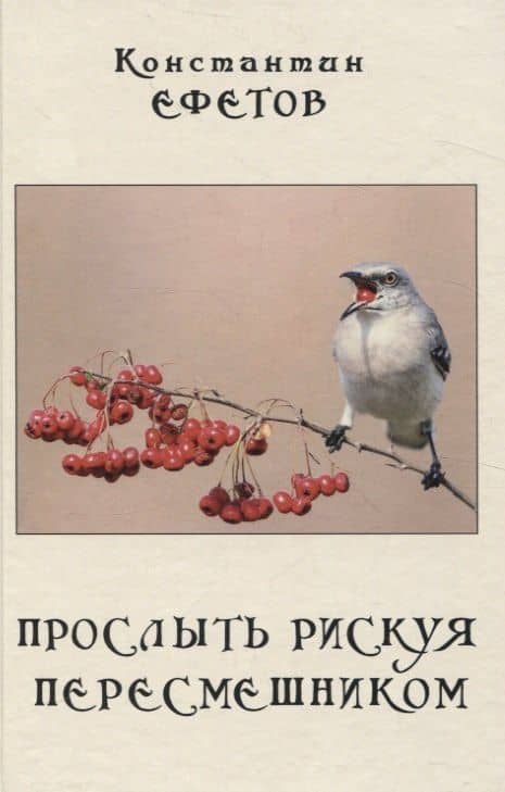 Прослыть рискуя пересмешником.