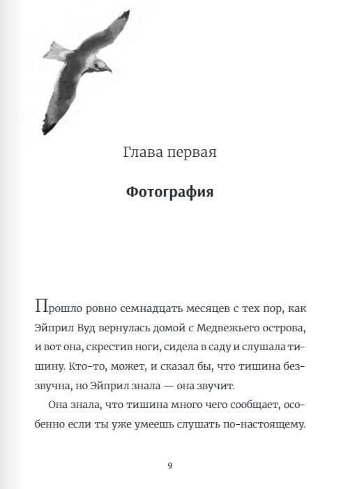 В поисках медведя — Ханна Голд (2)