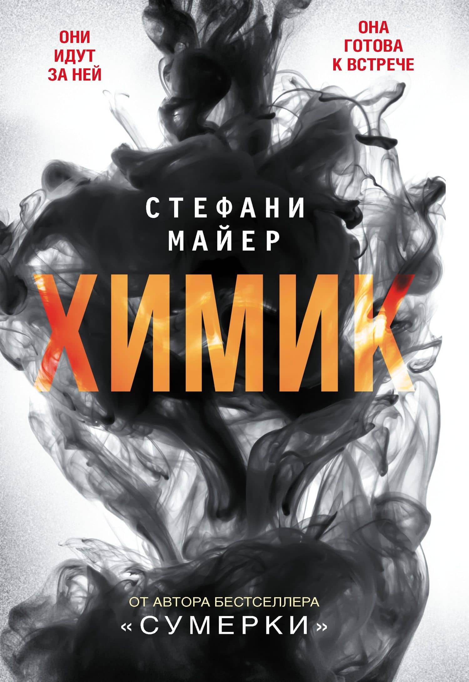 Химик : роман