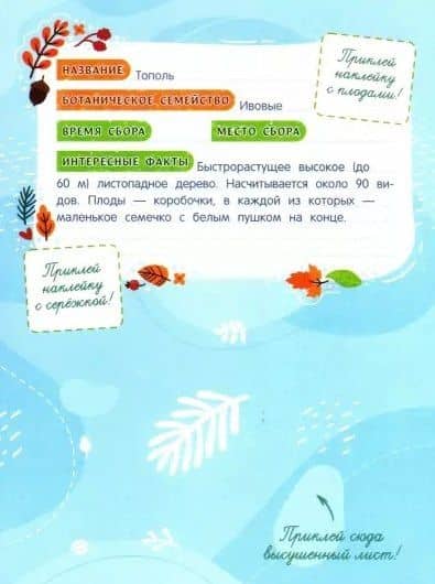 Собирай! Мой гербарий: книжка с наклейками — Татьяна Александровна Пироженко (2)