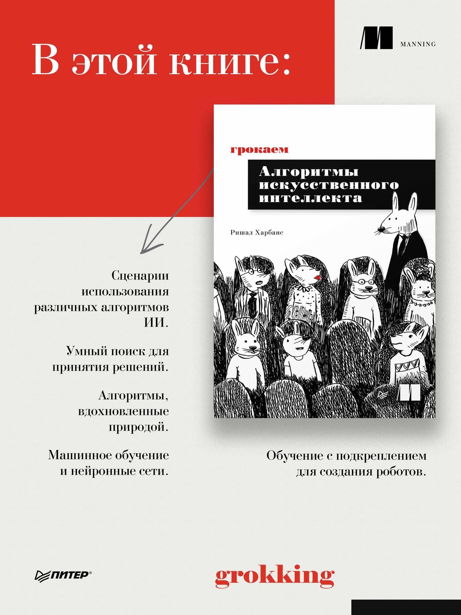 Грокаем алгоритмы искусcтвенного интеллекта — Ришал Харбанс (3)