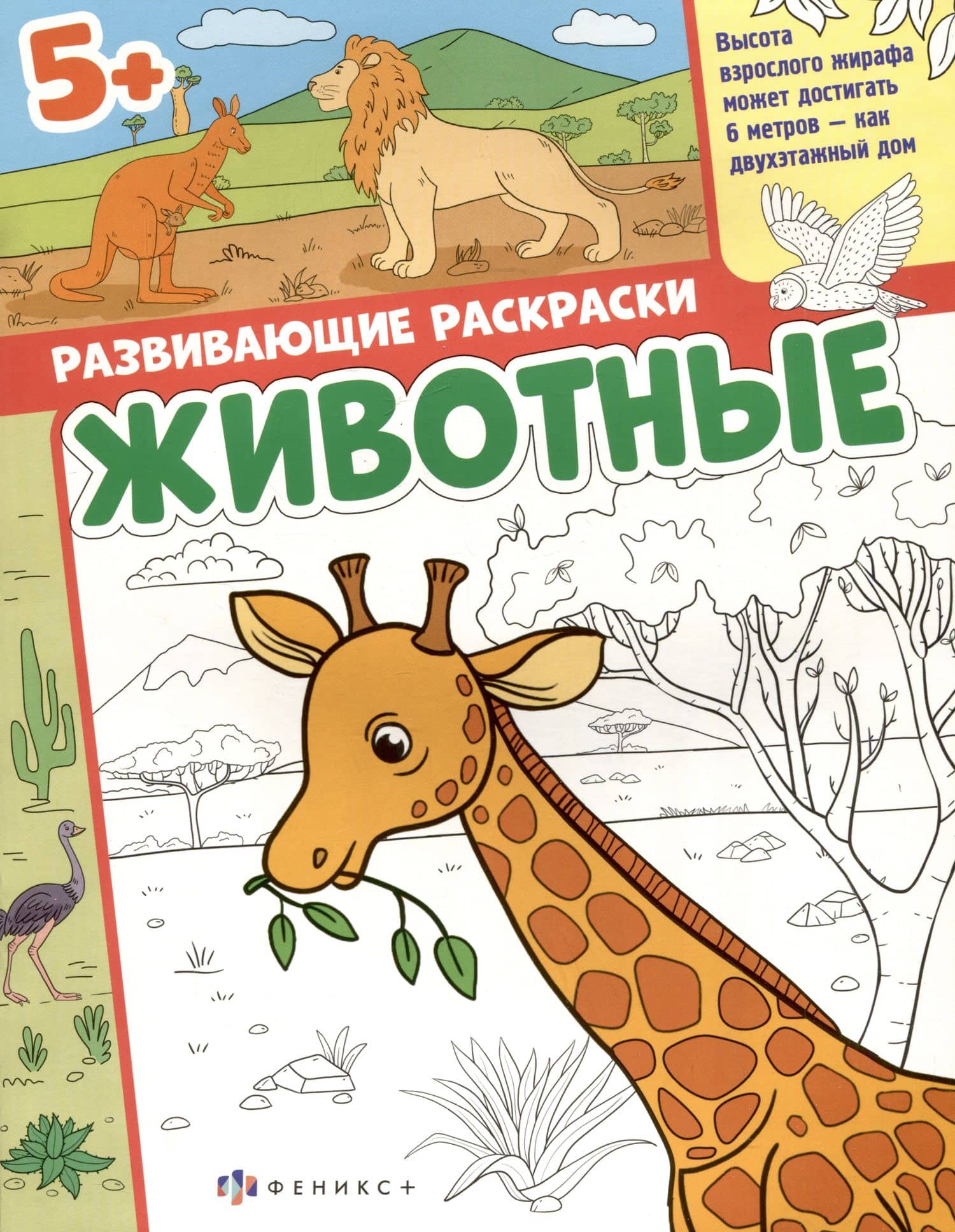Животные. Развивающие раскраски