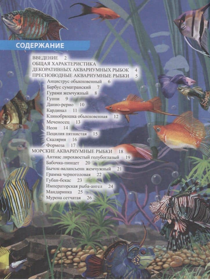 Аквариумные рыбки. Энциклопедия — Лада Александрова (2)