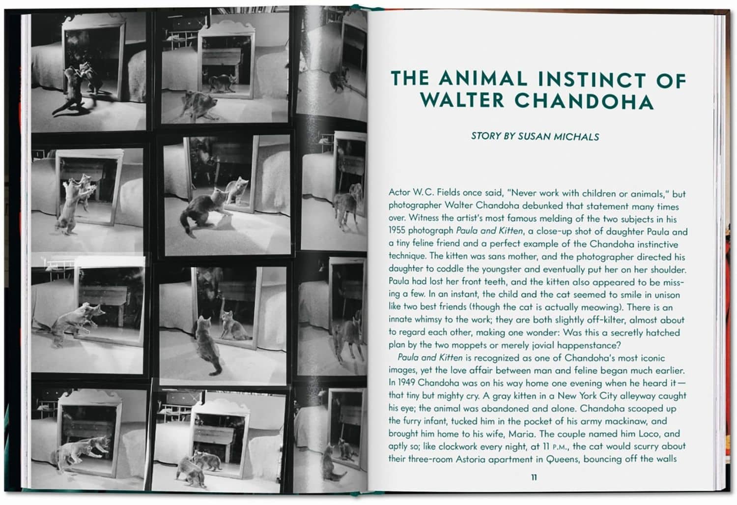 Walter Chandoha. Cats. Photographs 1942–2018 — Walter Chandoha (2)