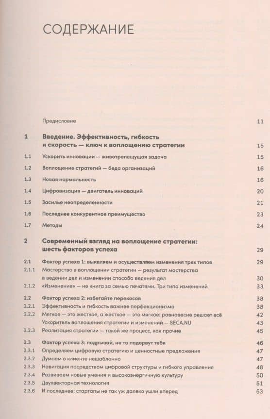 Реальная стратегия. Как планировать только то, что можно воплотить — Жак Пейл (2)