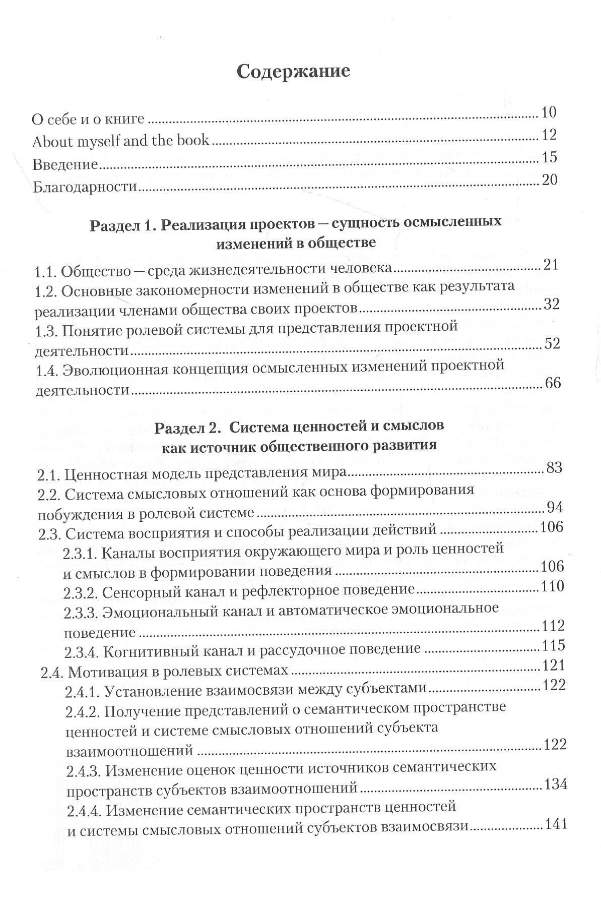 Модели реализации проектов: от индивидуальных до национальных. Смыслы как источник общественного развития — Владимир Юрьевич Анисимов (2)