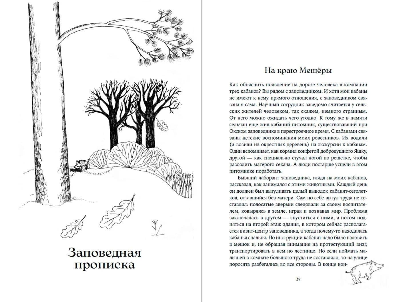 Гнездо кабана: Истории из заповедника — Надежда Панкова (3)