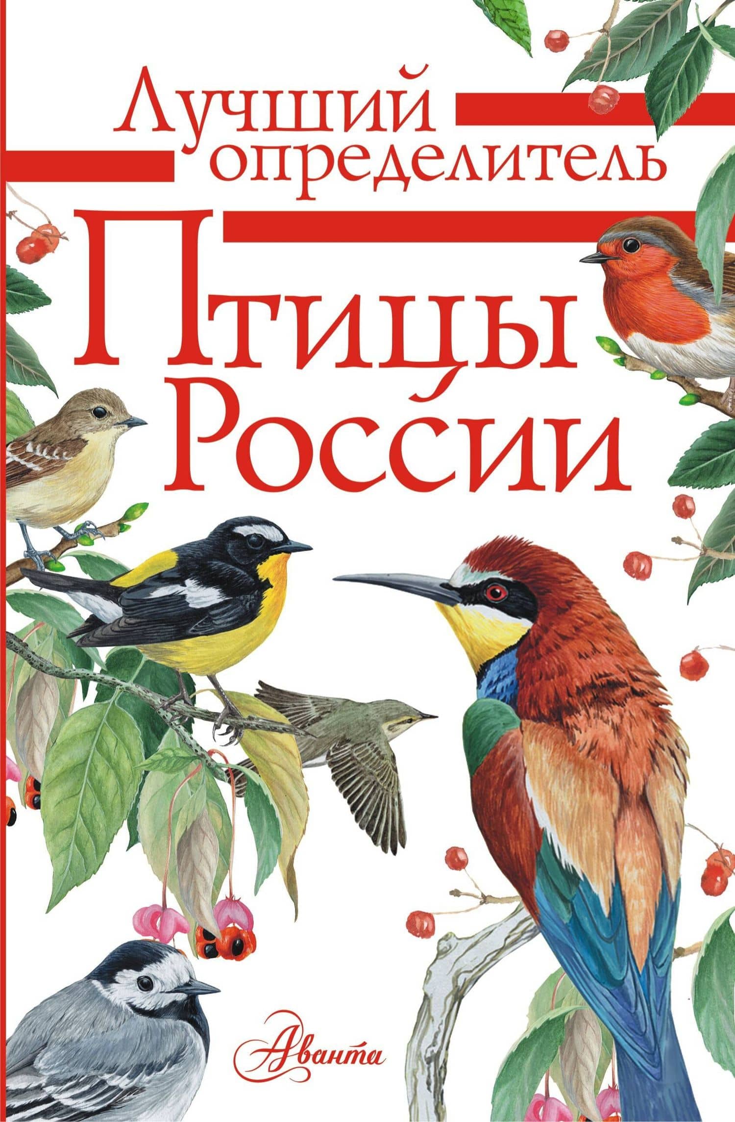 Птицы России