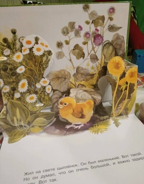 Цыплёнок — Корней Иванович Чуковский (3)