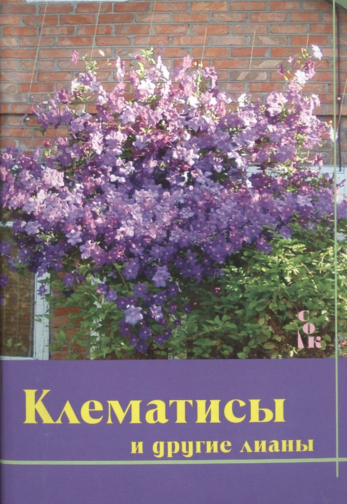 Клематисы и другие лианы