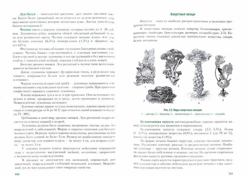 Основы товароведения. Учебник — Нина Степановна Моисеенко (2)