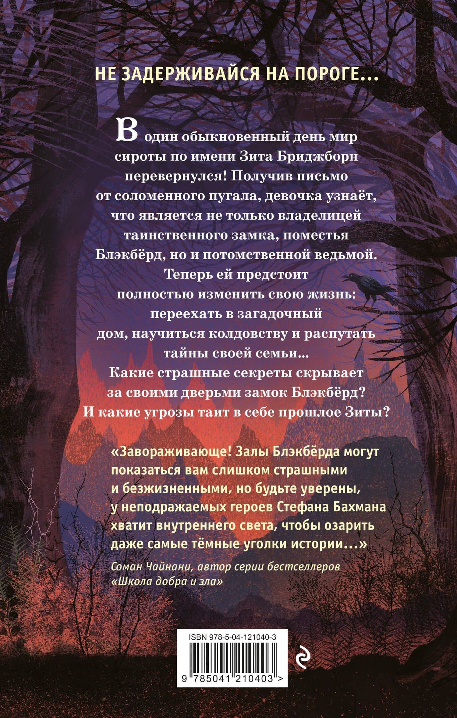 Тишина в замке Блэкбёрд — Стефан Бахманн (2)