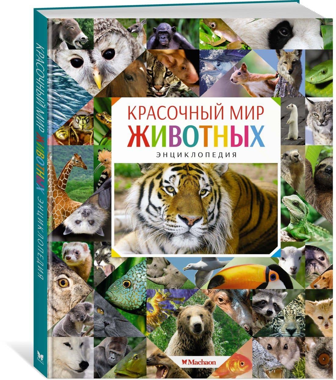 Красочный мир животных — Кристин Балле (2)