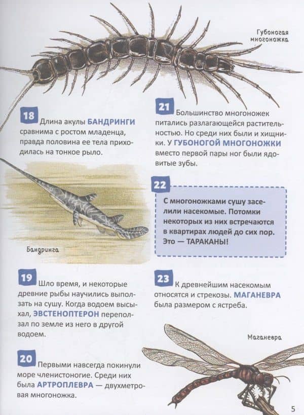 Динозавры. 250 фактов. Энциклопедия российского школьника (2)