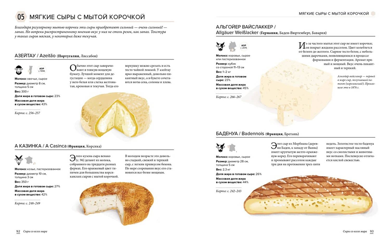 Сырный атлас гурмана. Скажите "Cheese!" — Тристан Сикар (3)