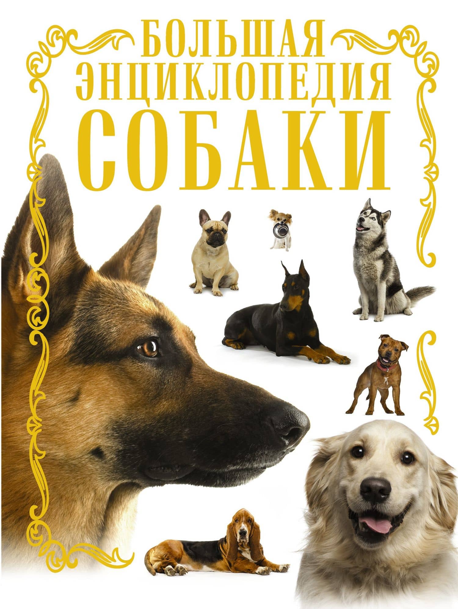 Собаки. Большая энциклопедия — Ирина Геннадьевна Барановская