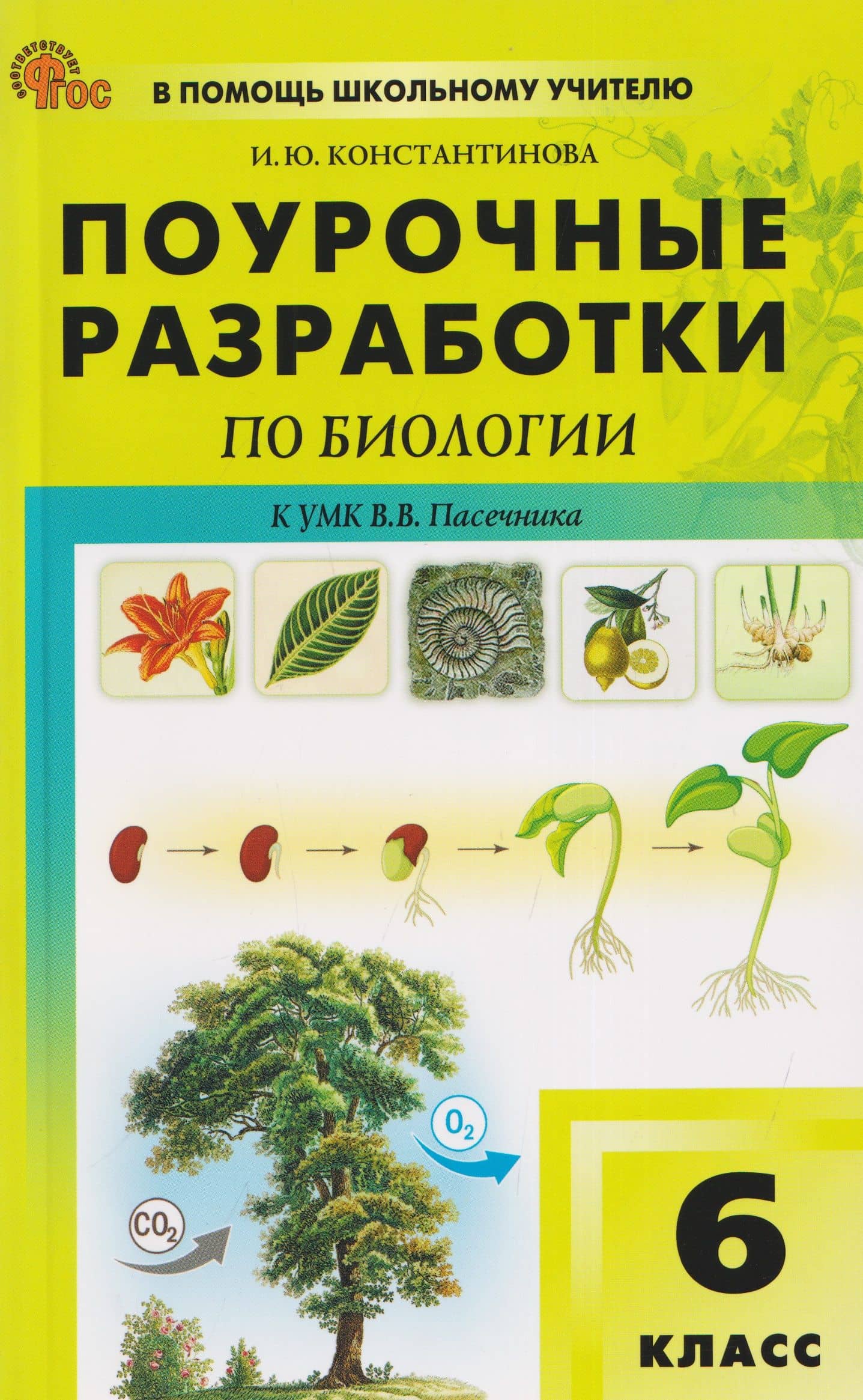 Поурочные разработки по биологии. 6 класс. К УМК В.В. Пасечника. Пособие для учителя — Ирина Юрьевна Константинова
