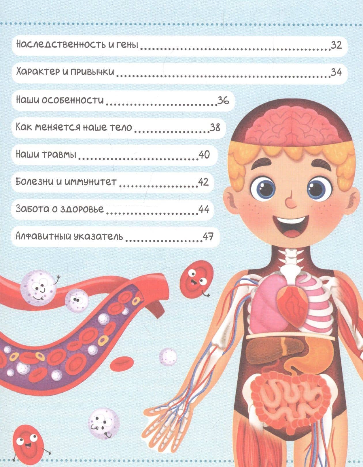 Тело человека. Первая энциклопедия — Ю. Соколова (3)