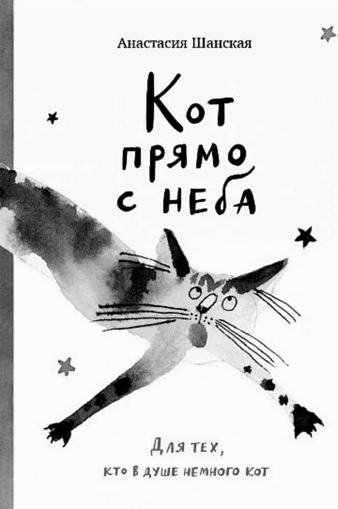 Кот прямо с неба — Анастасия Шанская