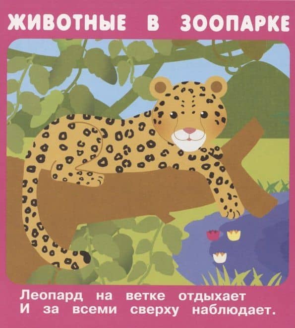 Животные в зоопарке. Набор развивающих карточек
