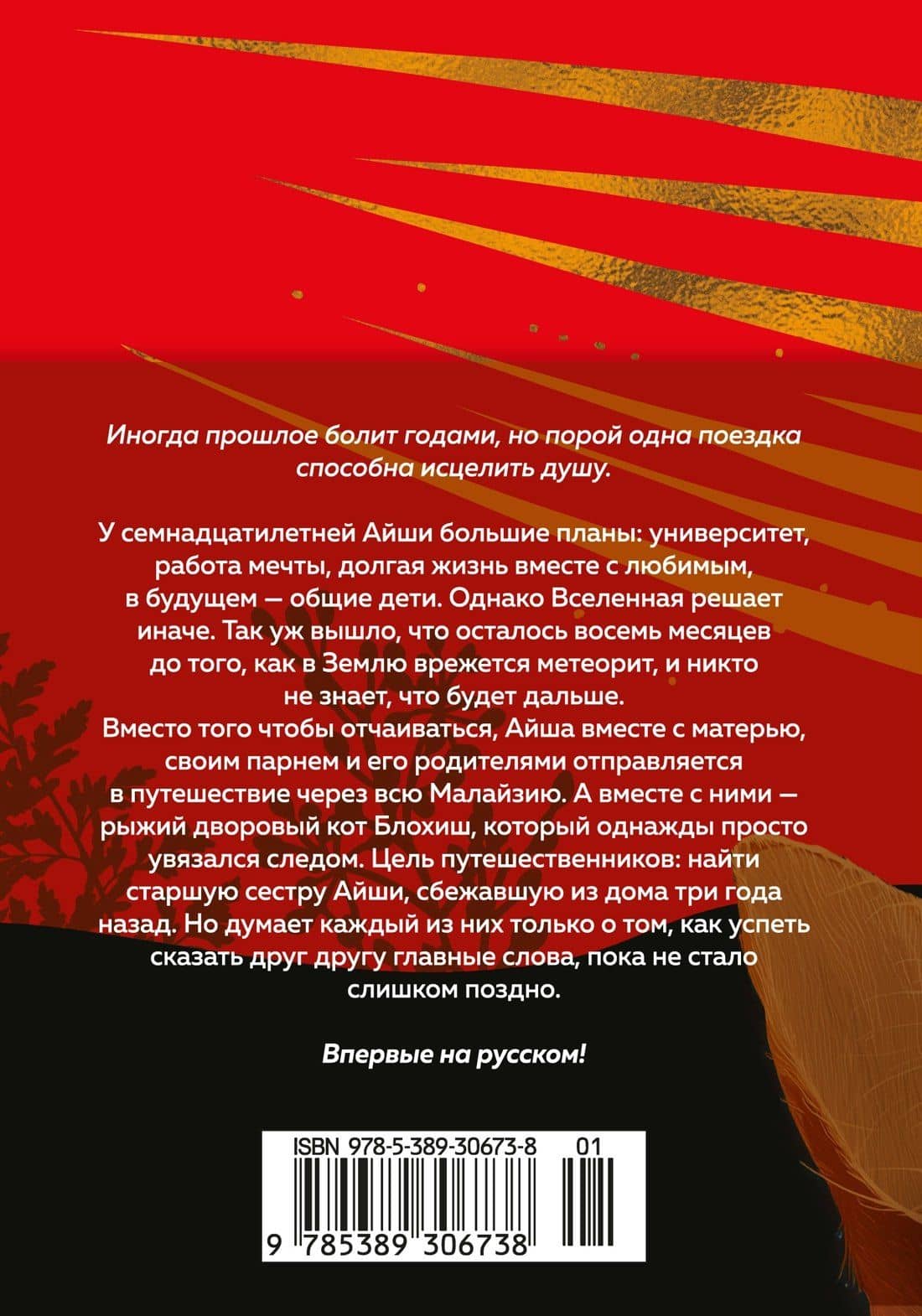 Выходя из дома, не забудьте кота — Микаил Надия (2)