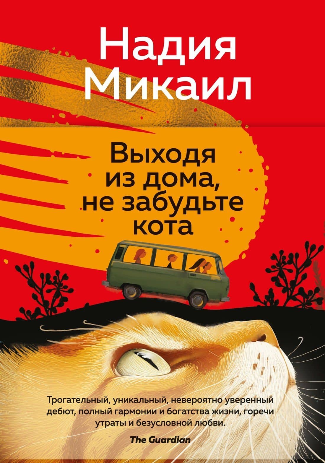 Выходя из дома, не забудьте кота — Микаил Надия