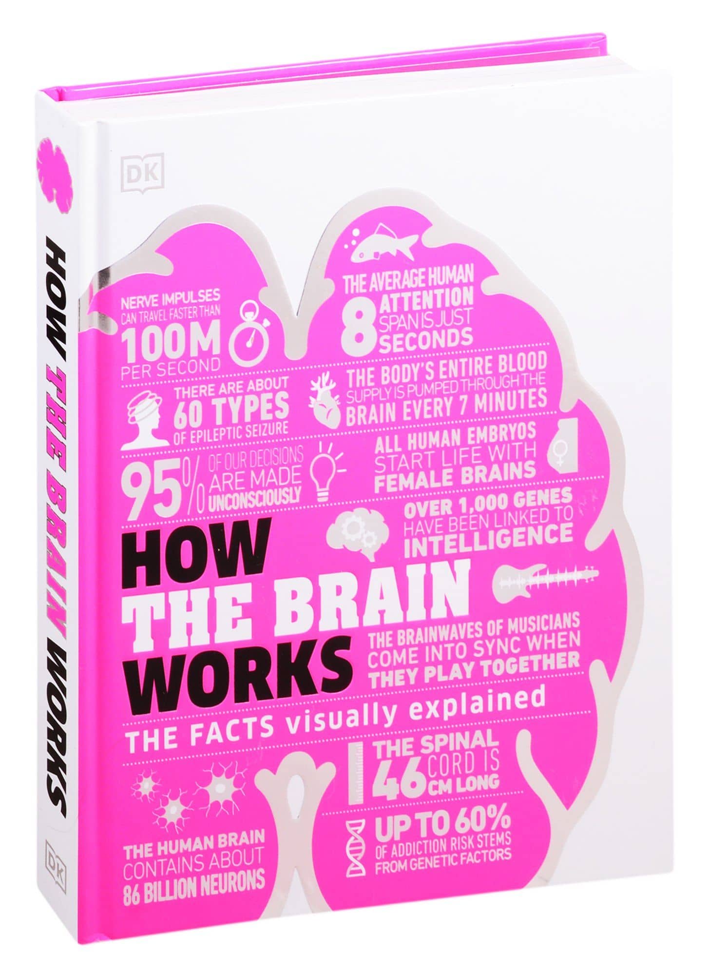 How the Brain Works