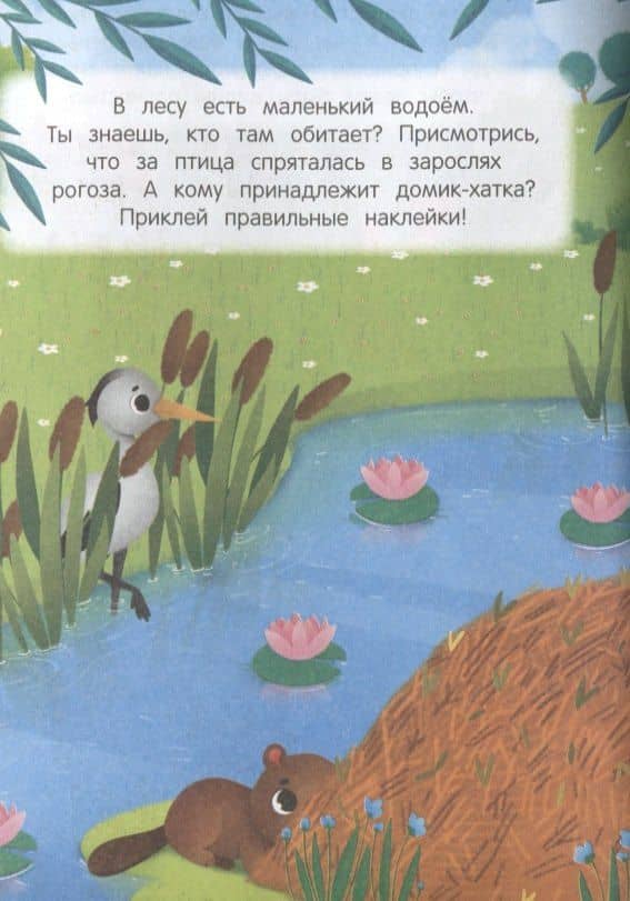 В лесу. Найди меня (2)