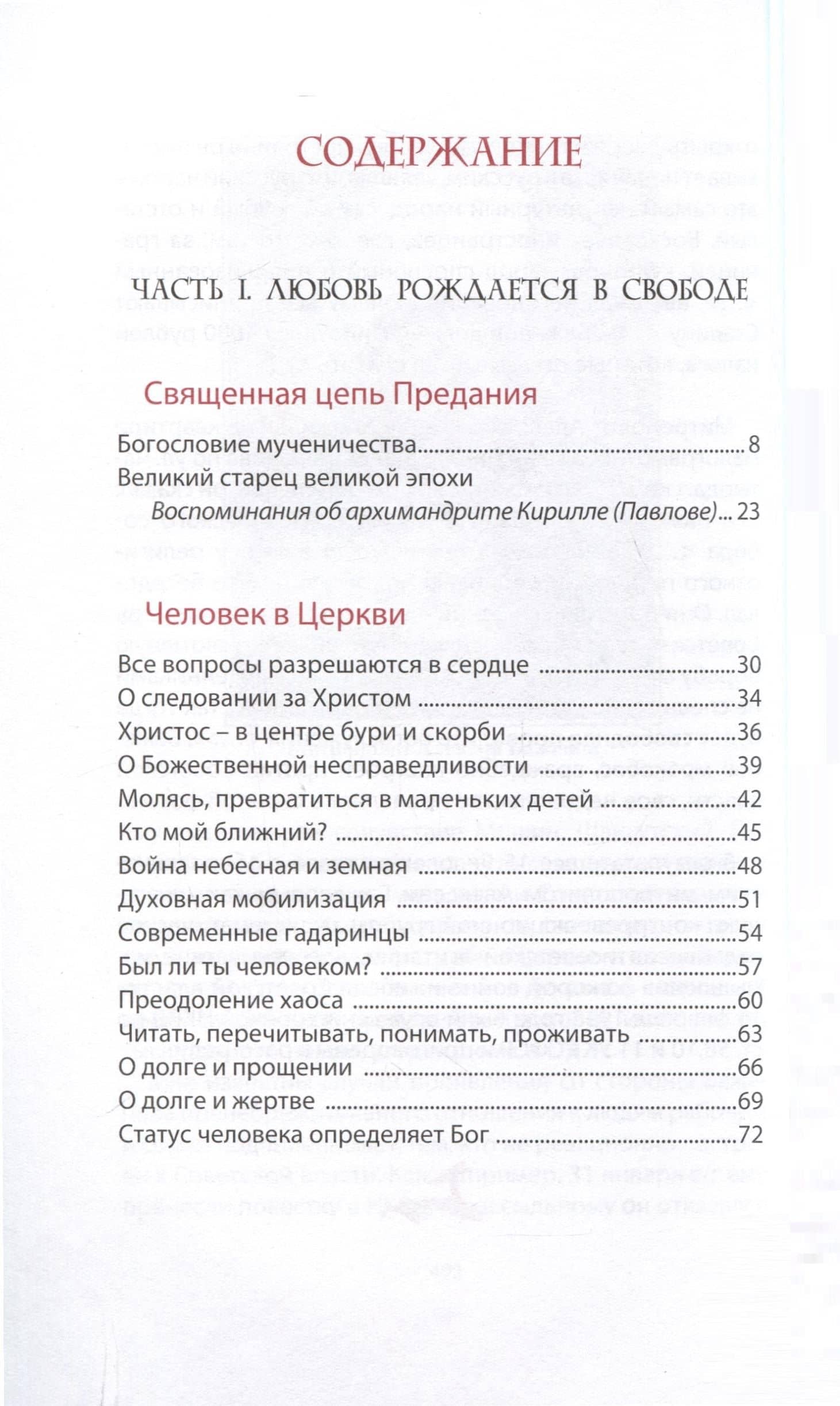 Любовь рождается в свободе — Епископ Нестор (Доненко) (3)
