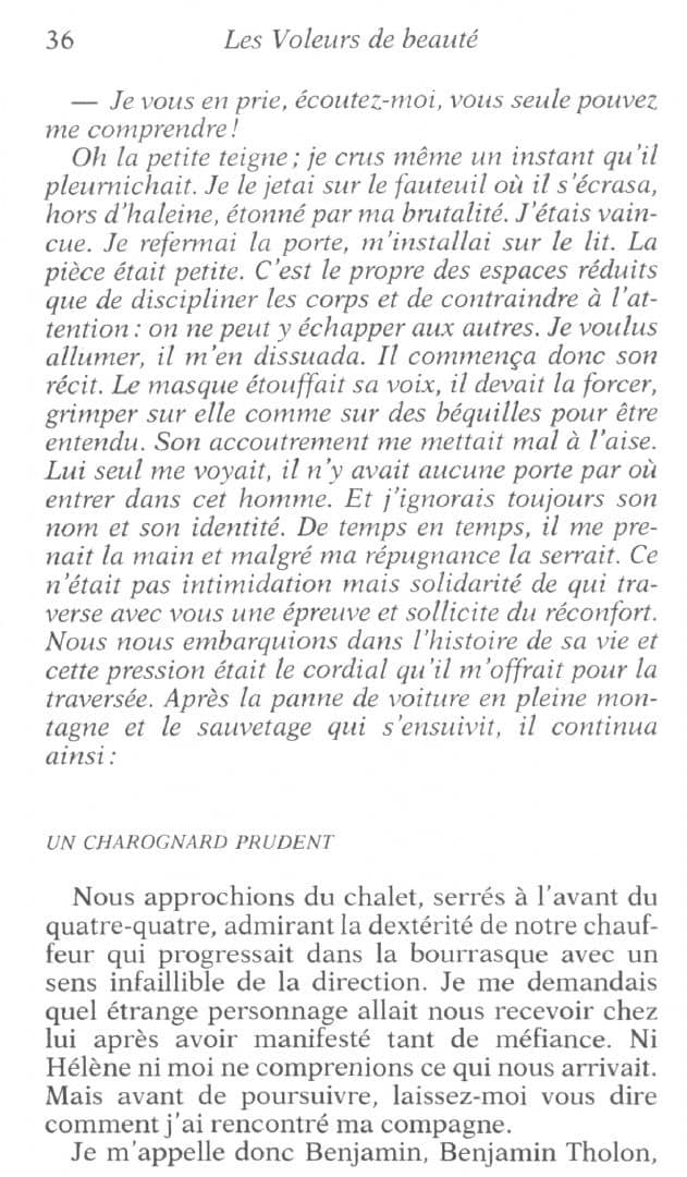 Les Voleurs de beaute — Pascal Bruckner (2)