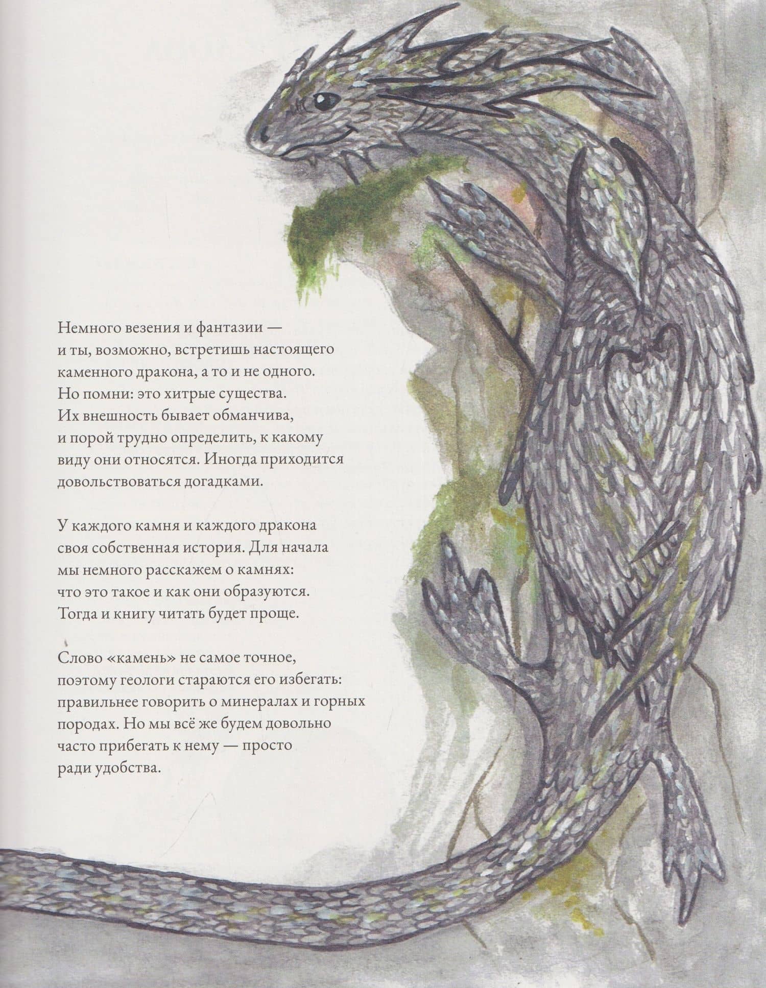 Каменные драконы. Книга о драконах, камнях и минералах — Карин Линдерут (3)