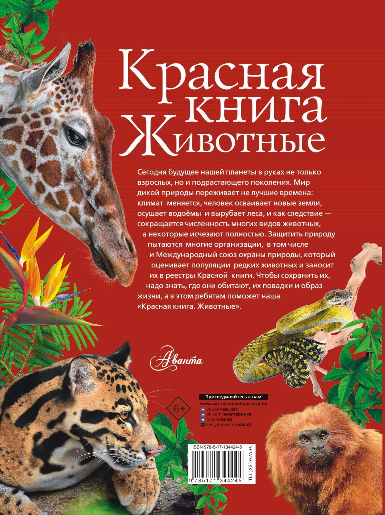 Красная книга. Животные — Наталья Владимировна Куксина (2)