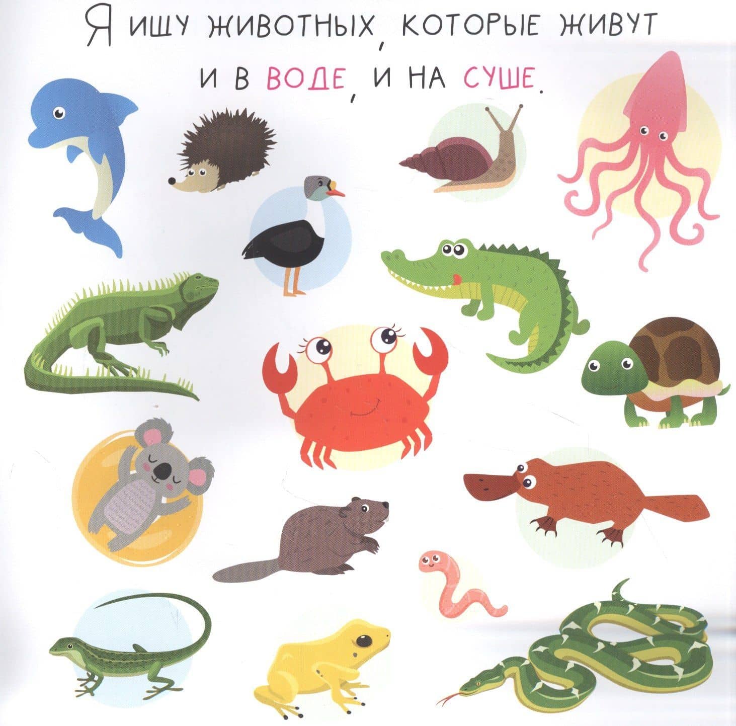 Я ищу животных — Алена Лядова (3)