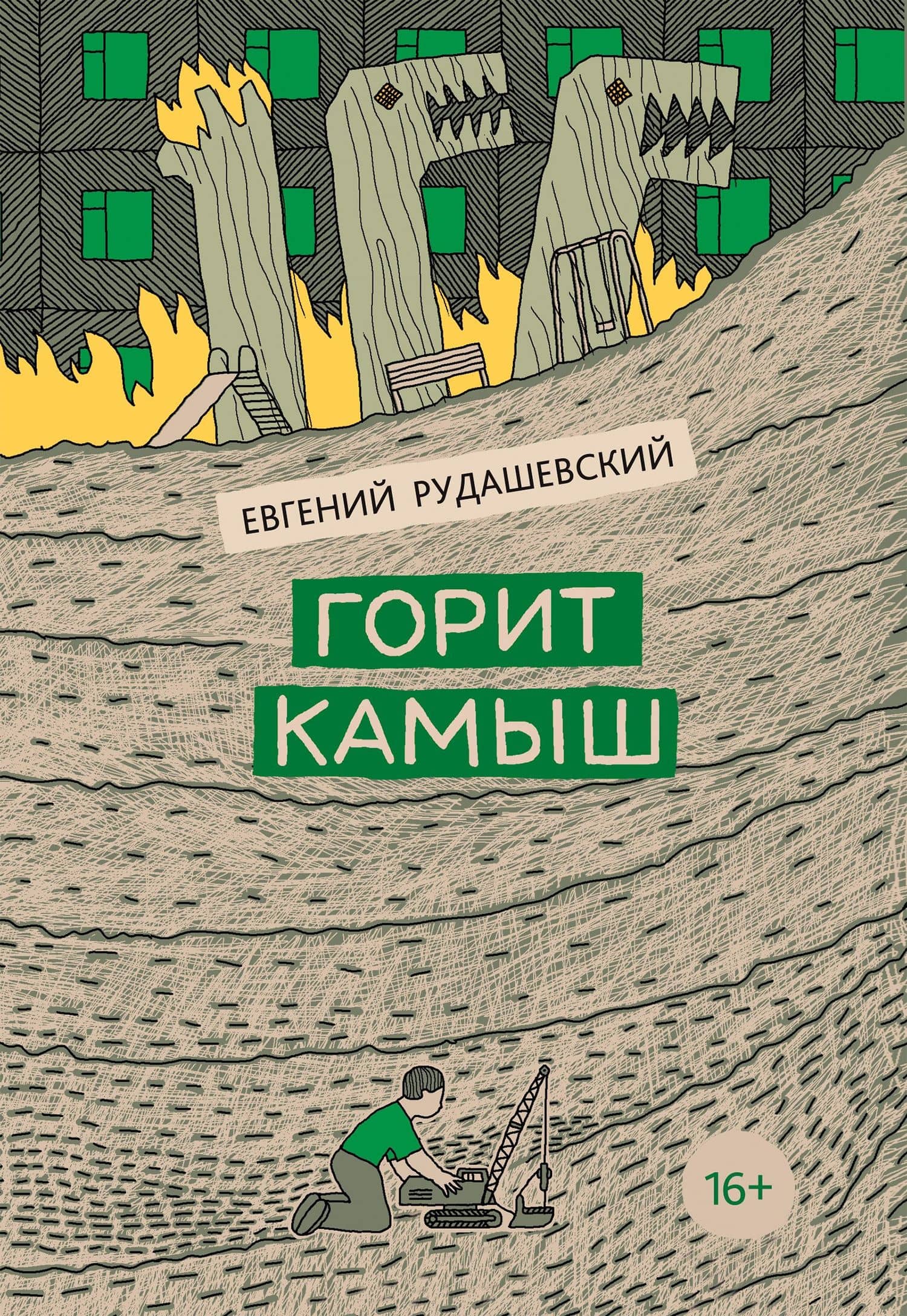 Горит камыш — Евгений Рудашевский