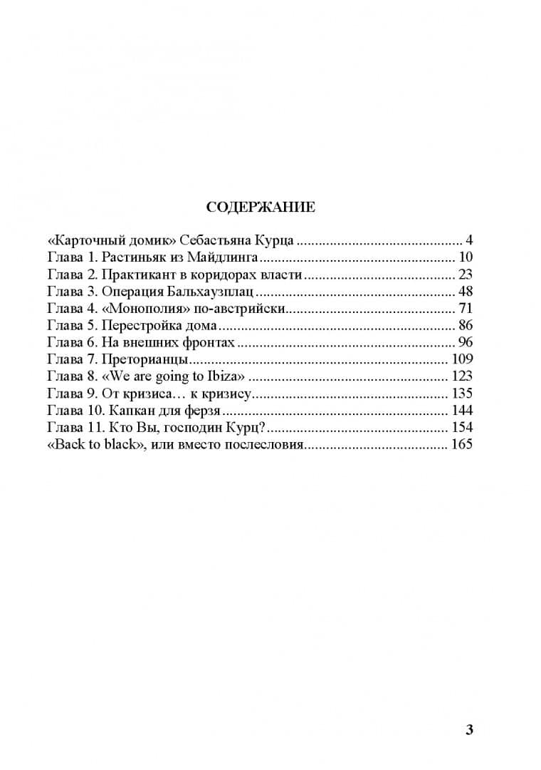 Себастиан Курц. Портрет в серых тонах — Андрей Викторович Белинский (2)