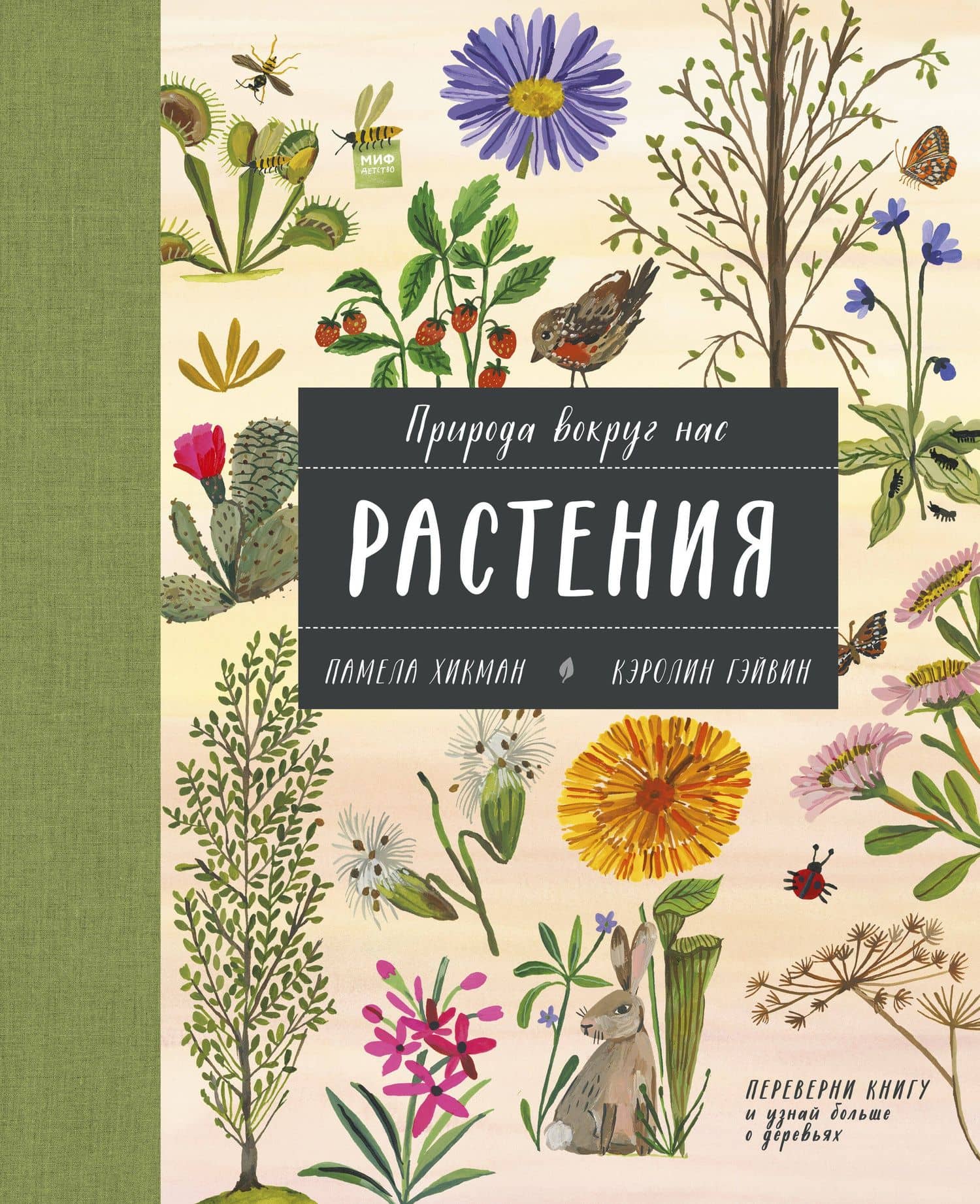 Природа вокруг нас: Растения. Деревья — Памела Хикман