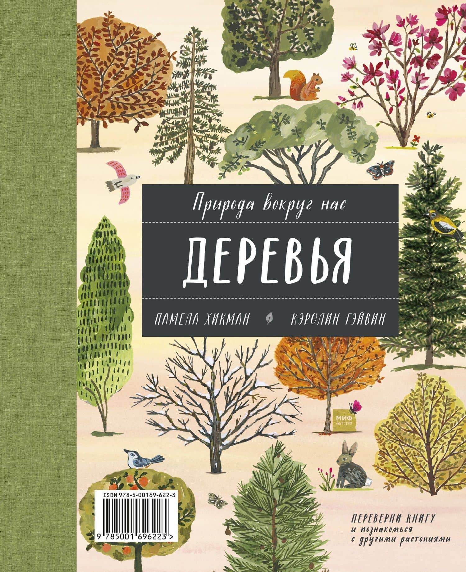 Природа вокруг нас: Растения. Деревья — Памела Хикман (2)