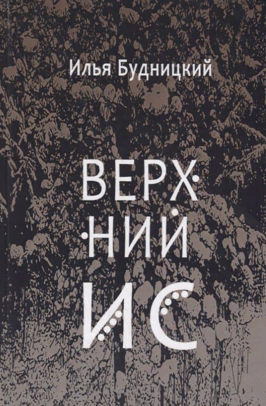 Верхний Ис: Стихотворения — Илья Будницкий