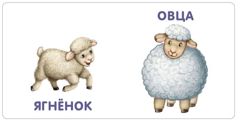 Книжки-картонки. Малыши и мамы (3)