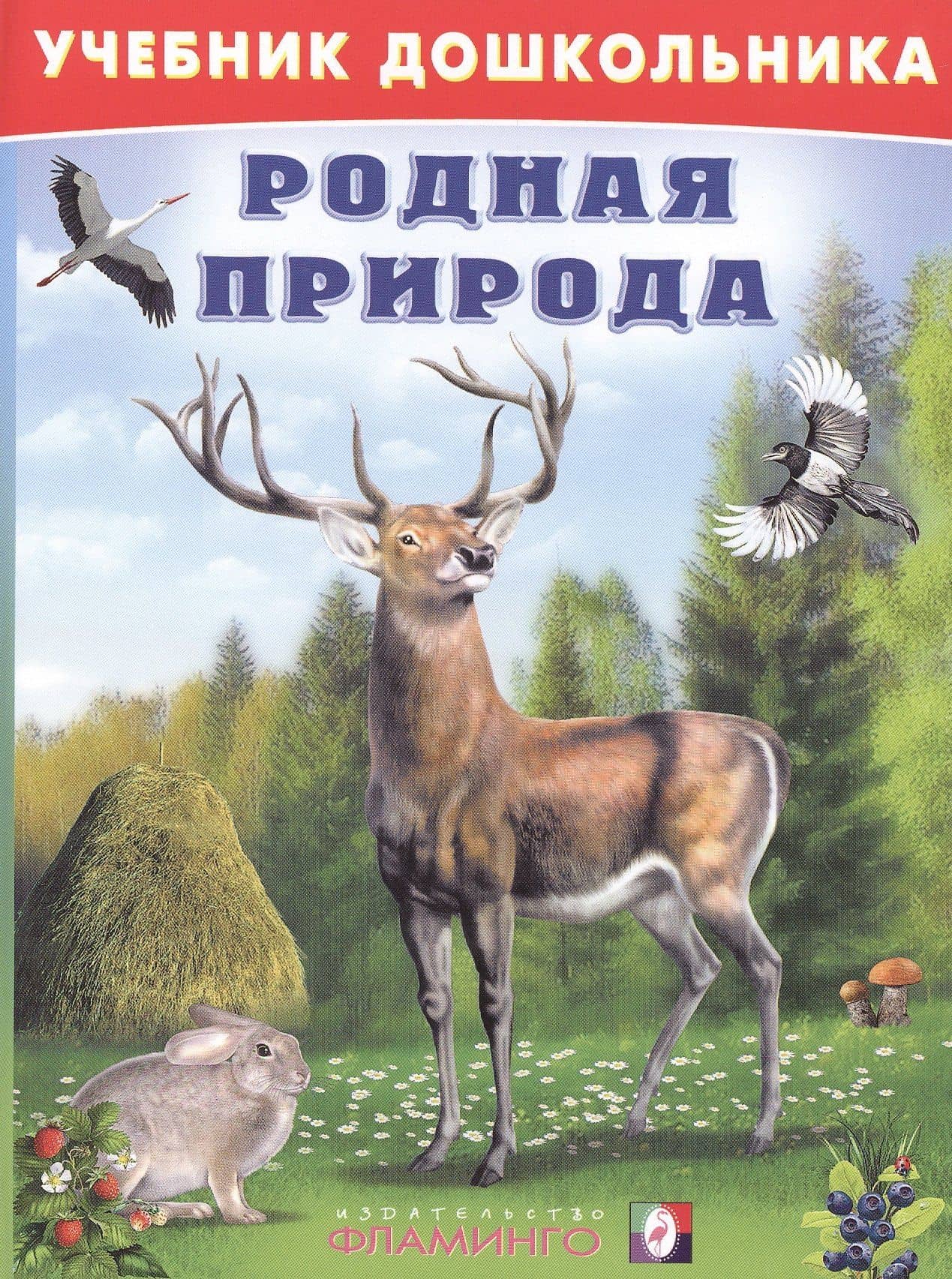 Родная природа (илл. Приходкина) (УчебДошк) Степанов — Владимир Александрович Степанов