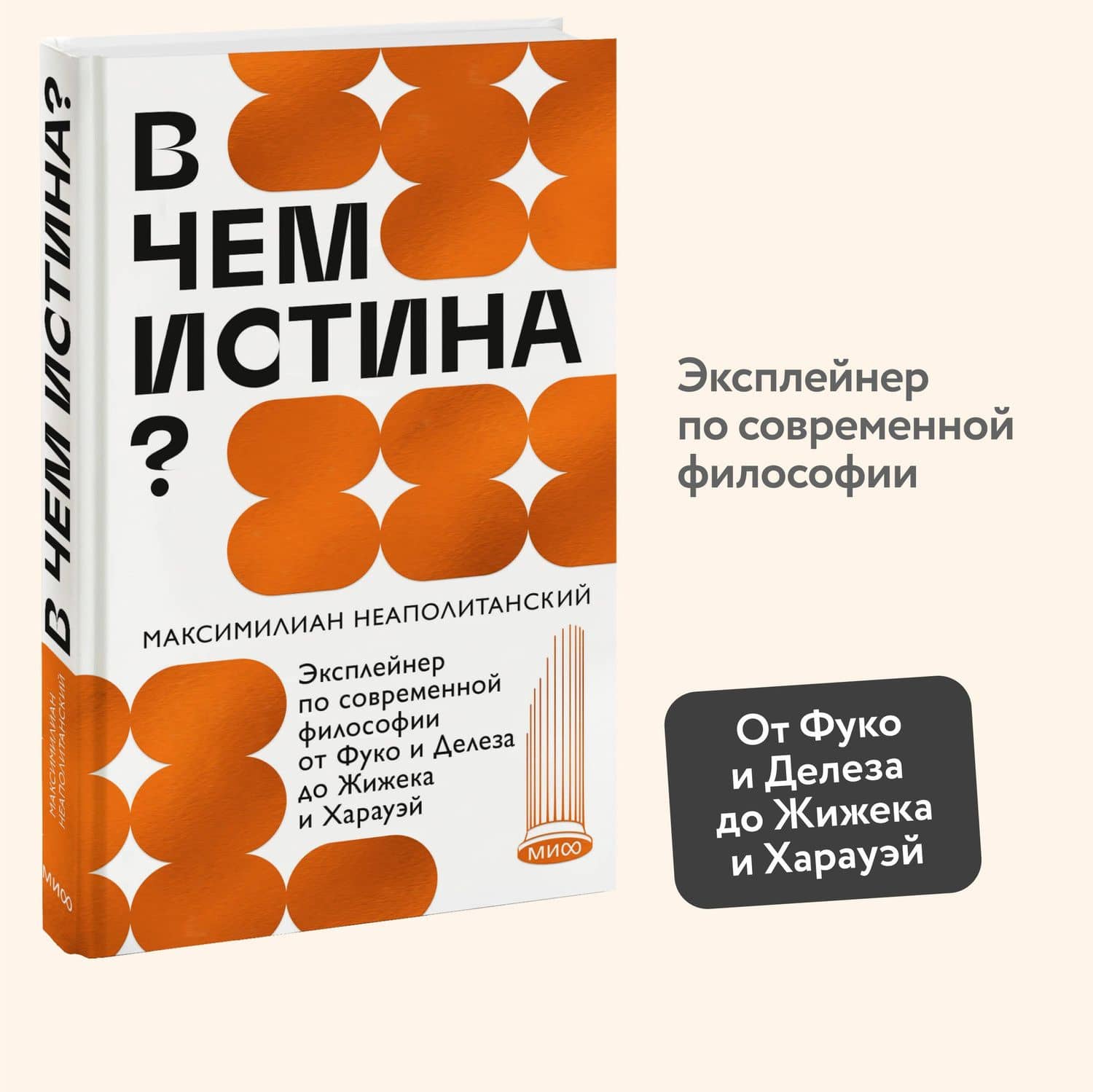 В чем истина? Эксплейнер по современной философии от Фуко и Делеза до Жижека и Харауэй — Максимилиан Неаполитанский (3)