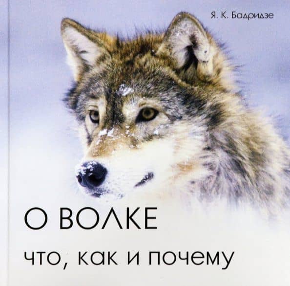 О волке. Что, как и почему — Ясон Константинович Бадридзе