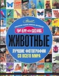 Животные. Лучшие фотографии со всего мира. Уникальное издание японских дизайнеров