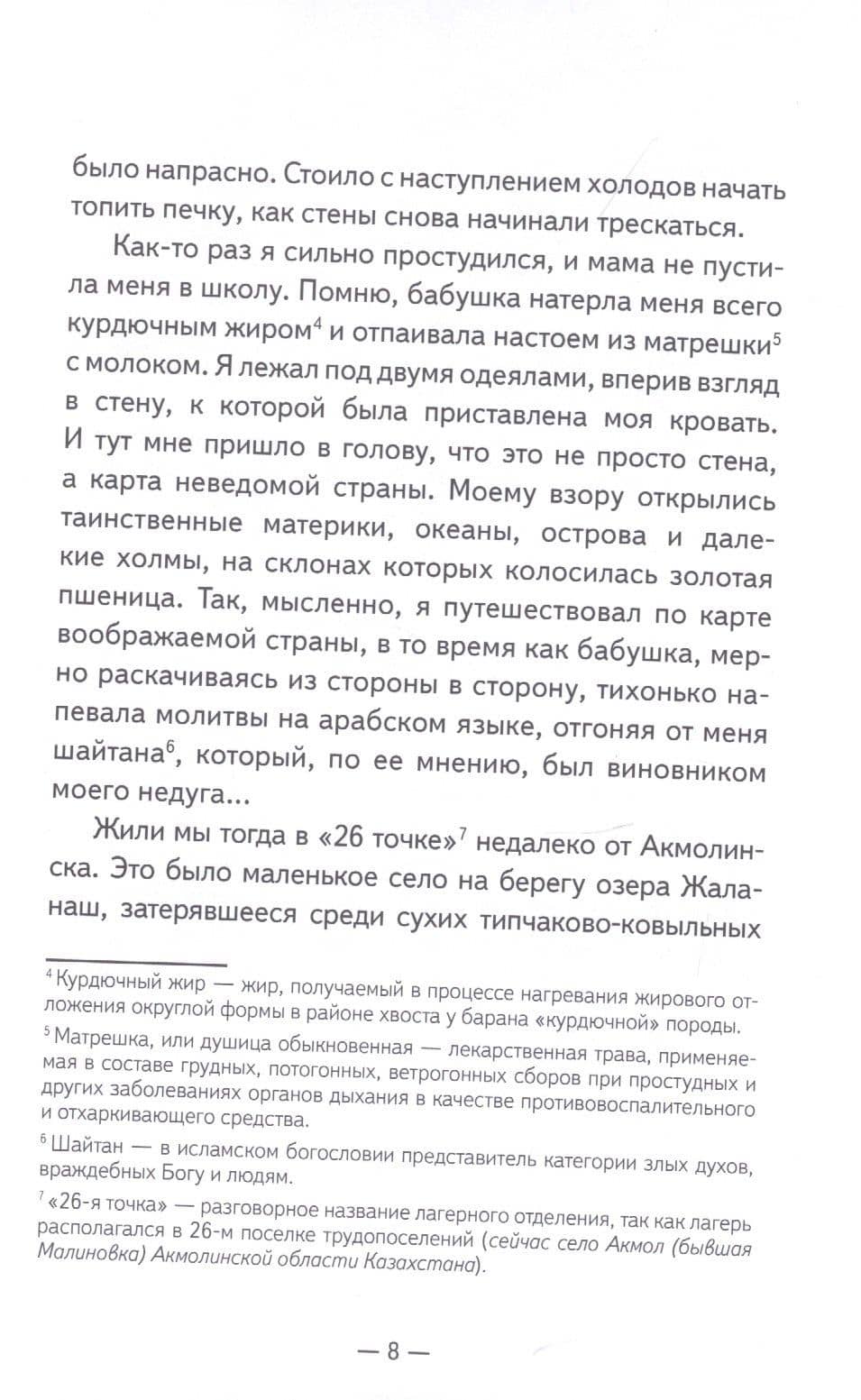 Алжирская тетрадь. Повесть — Алия Беркимбаева (3)