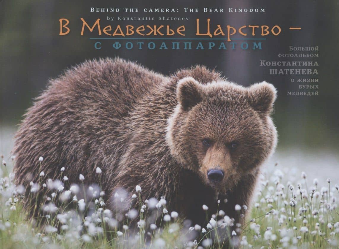 В Медвежье Царство - с фотоаппаратом — Константин Шатенев